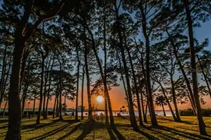 2700 Bayshore Blvd, Dunedin, FL 34698 - Photo 40