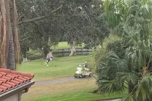 6219 Palma Del Mar Blvd S, Saint Petersburg, FL 33715 - Photo 12