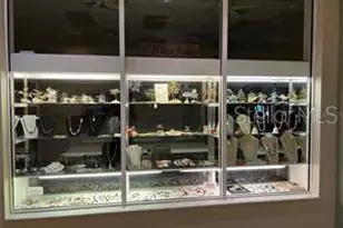 401 Dorchester Pl, Sun City Center, FL 33573 - Photo 40