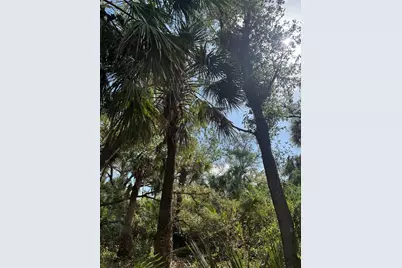 Joyce Avenue, North Port, FL 34286 - Photo 6