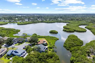 1016 Teal Pointe, Tarpon Springs, FL 34689 - Photo 50