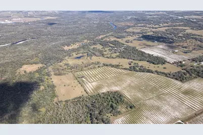 5009 SW Oakwood Avenue, Arcadia, FL 34269 - Photo 4