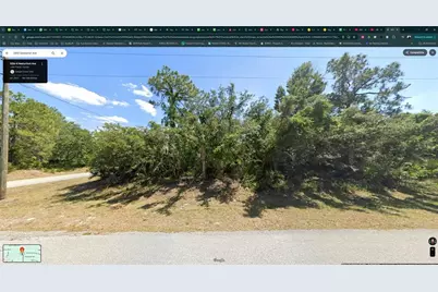 3410 Gossamer Avenue, Lake Placid, FL 33852 - Photo 2