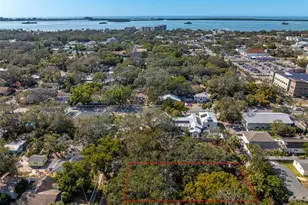 620 Scotland St, Dunedin, FL 34698 - Photo 8