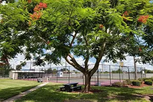 439 Loma Linda, North Port, FL 34287 - Photo 68