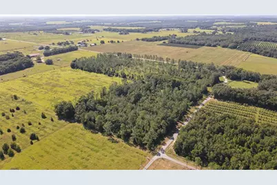 Amberlea Road, Dade City, FL 33523 - Photo 4