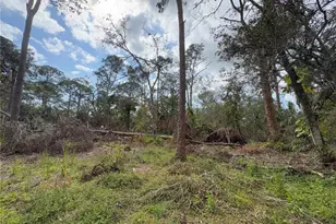 3112 Desoto Rd, Sarasota, FL 34234 - Photo 86