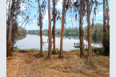 8547 Old Country Road, Odessa, FL 33556 - Photo 6