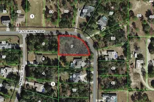 1820 E St James Loop, Inverness, FL 34453 - Photo 1