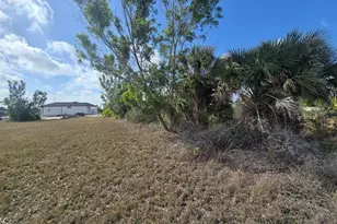 3813 NW 46th Ln, Cape Coral, FL 33993 - Photo 16