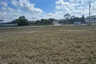 3813 NW 46th Ln, Cape Coral, FL 33993 - Photo 10