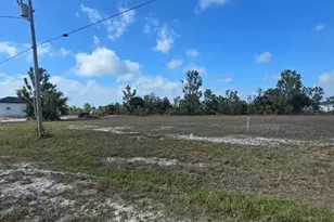 3813 NW 46th Ln, Cape Coral, FL 33993 - Photo 4