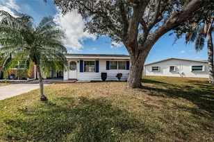 10022 Lily St N, Pinellas Park, FL 33782 - Photo 4