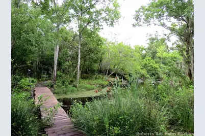 Roberts Road, Palm Harbor, FL 34683 - Photo 10