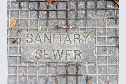 Roberts Road, Palm Harbor, FL 34683 - Photo 8