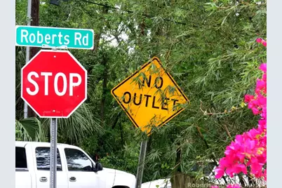 Roberts Road, Palm Harbor, FL 34683 - Photo 4