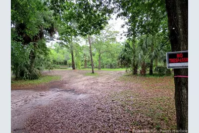 Roberts Road, Palm Harbor, FL 34683 - Photo 12