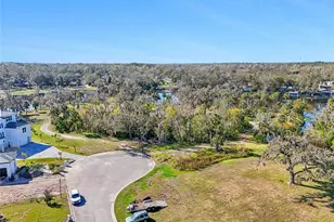 8339 Alafia Pointe Dr, Riverview, FL 33578 - Photo 1