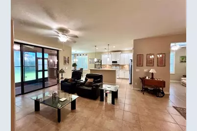 116 Silver Falls Drive, Apollo Beach, FL 33572 - Photo 8