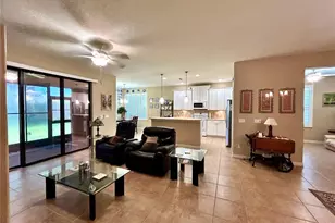 116 Silver Falls Dr, Apollo Beach, FL 33572 - Photo 8