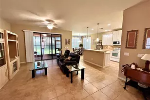 116 Silver Falls Dr, Apollo Beach, FL 33572 - Photo 6