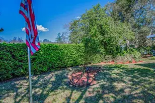 11427 Turtle Dove Pl, New Port Richey, FL 34654 - Photo 54