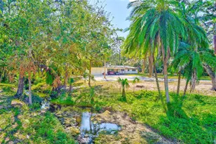 13450 Wilcox Rd, Largo, FL 33774 - Photo 1