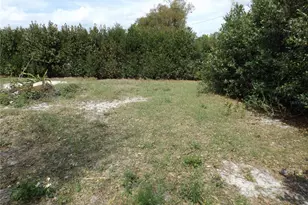 4801 Avon St, Lake Wales, FL 33859 - Photo 10