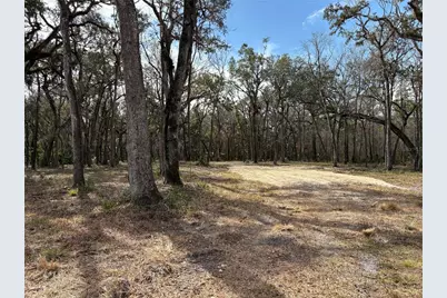 Lake Lindsey Road, Brooksville, FL 34601 - Photo 10