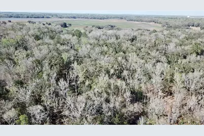 Lake Lindsey Road, Brooksville, FL 34601 - Photo 32