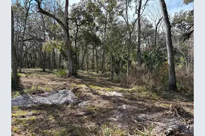 Lake Lindsey Road, Brooksville, FL 34601 - Photo 4