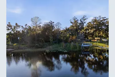 16921 Crawley Road, Odessa, FL 33556 - Photo 4