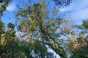 16921 Crawley Rd, Odessa, FL 33556 - Photo 18