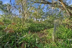 16921 Crawley Rd, Odessa, FL 33556 - Photo 10
