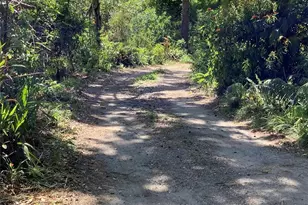 16921 Crawley Rd, Odessa, FL 33556 - Photo 28