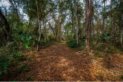7822 Cr 647, Bushnell, FL 33513 - Photo 18
