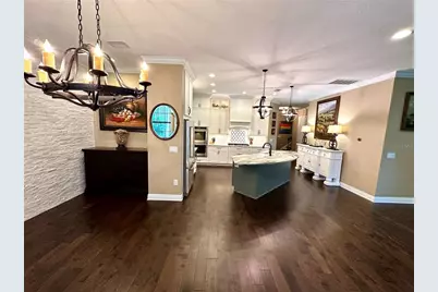 4302 W San Pedro Street, Tampa, FL 33629 - Photo 22