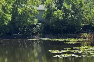 5231 Bayshore Blvd, Tampa, FL 33611 - Photo 22