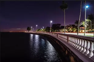 5231 Bayshore Blvd, Tampa, FL 33611 - Photo 30