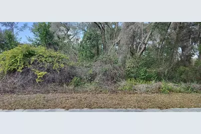 204 Adelphi Street, Inverness, FL 34452 - Photo 6