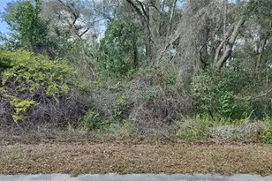 204 Adelphi St, Inverness, FL 34452 - Photo 1