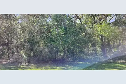 517 S Savary Avenue, Inverness, FL 34453 - Photo 6