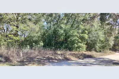 517 S Savary Avenue, Inverness, FL 34453 - Photo 10