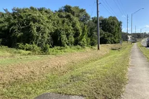 Us-441, Eustis, FL 32726 - Photo 1