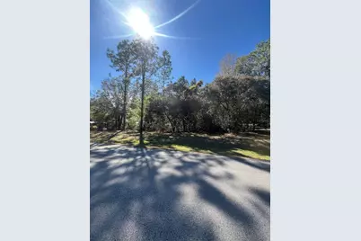 00 SW 196th Avenue, Dunnellon, FL 34431 - Photo 4