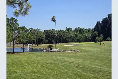 19 Drury Lane, Tarpon Springs, FL 34689 - Photo 56
