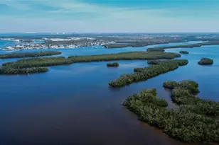 1019 Canal St, Ruskin, FL 33570 - Photo 34
