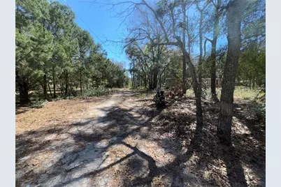 17233 Dalberg Drive, Spring Hill, FL 34610 - Photo 22