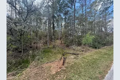 Green Willow Run #LOT 759, Wesley Chapel, FL 33544 - Photo 4