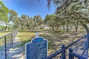 12851 Tortoise Shell Pl, Riverview, FL 33579 - Photo 58